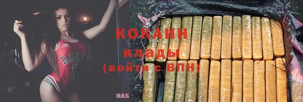 гидра Ахтубинск