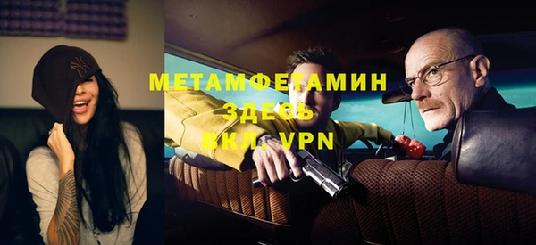 гидра Ахтубинск