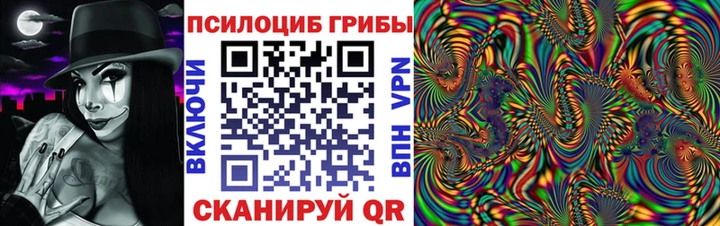 Псилоцибиновые грибы MAGIC MUSHROOMS  Балтийск 